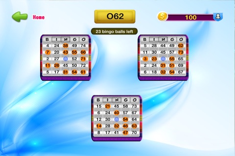 Bingo Pro - From Casino Blitz To Heaven screenshot 3