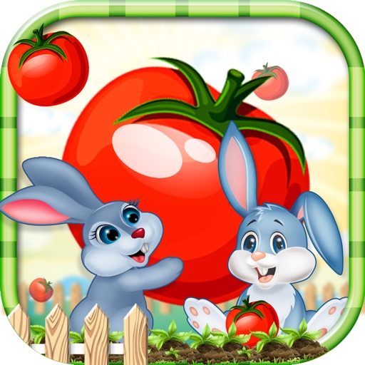 Sunny Bunny's Garden Patch Poppers iOS App