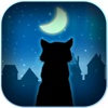 Cats Play Out - Night and Day Adventure