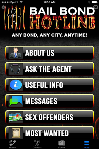 Bail Bond Hotline Of TX screenshot 4