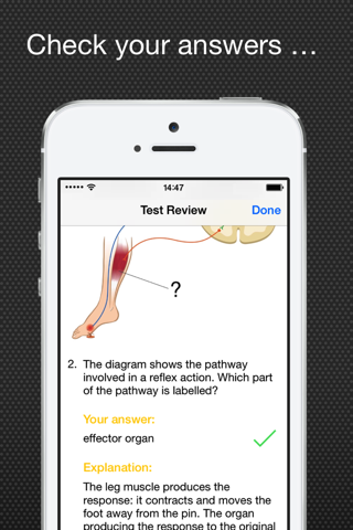 Edexcel GCSE Science Watch and Test Lite screenshot 3