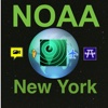 New York NOAA with Traffic Cameras All In One - Great Road Trip