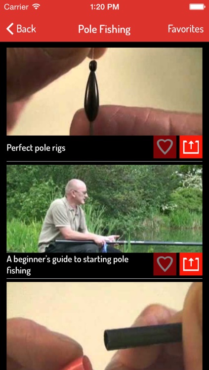 Fishing Guide - Ultimate Learning Guide