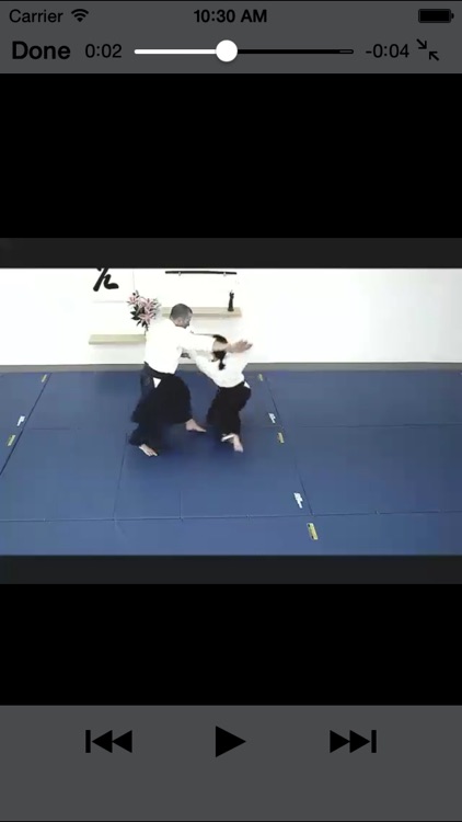 Aikido-Basic 1 screenshot-4