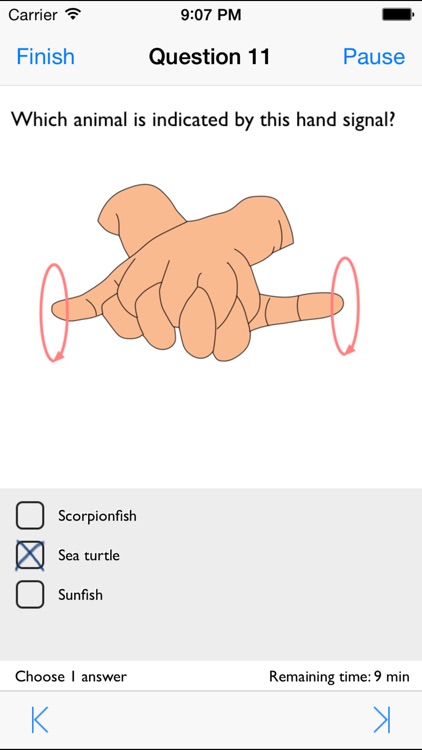 Scuba Diving Hand Signals