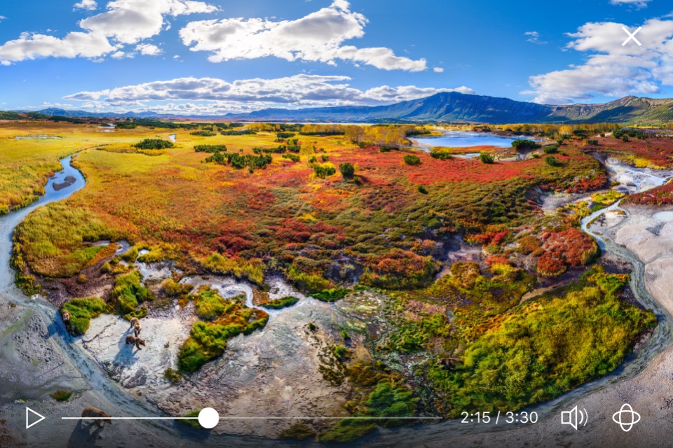 Bears 360° screenshot 2