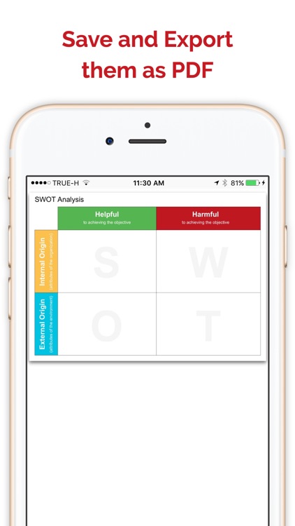 Startup Canvas