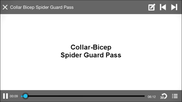 Lucas Lepri - Championship Guard Passing Part 2