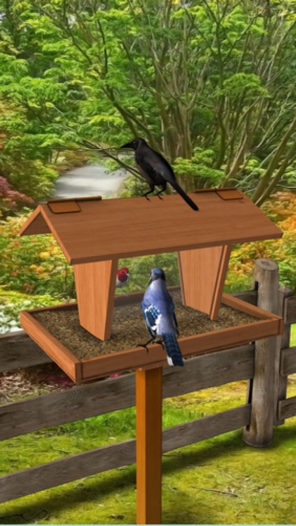 FeederVu - Birds of North America in 3D