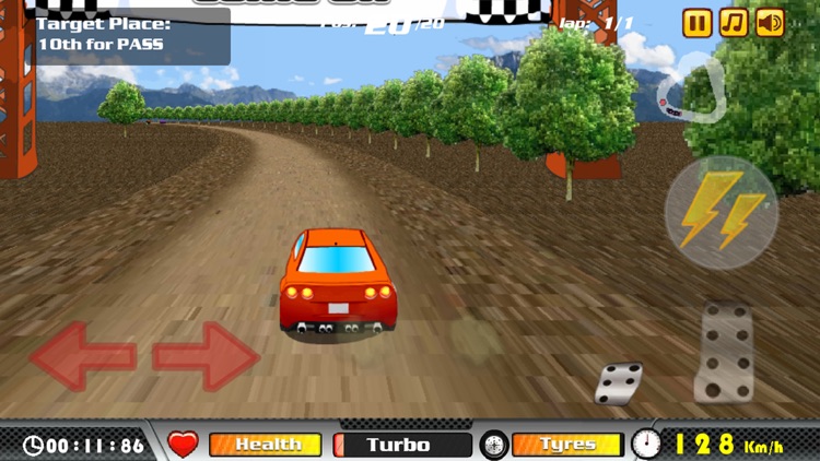 Rally Race screenshot-4