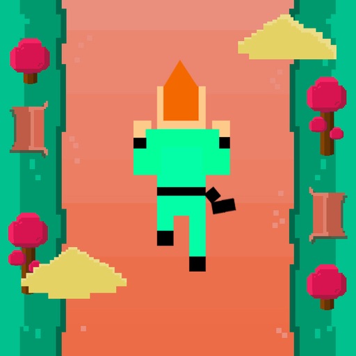 Pixel Park - Endless Runner Saga HD icon