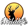 iWildlife Log