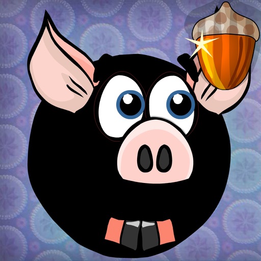 Piggy for Nuts iOS App