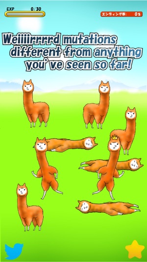 Alpaca Evolution Begins(圖2)-速報App