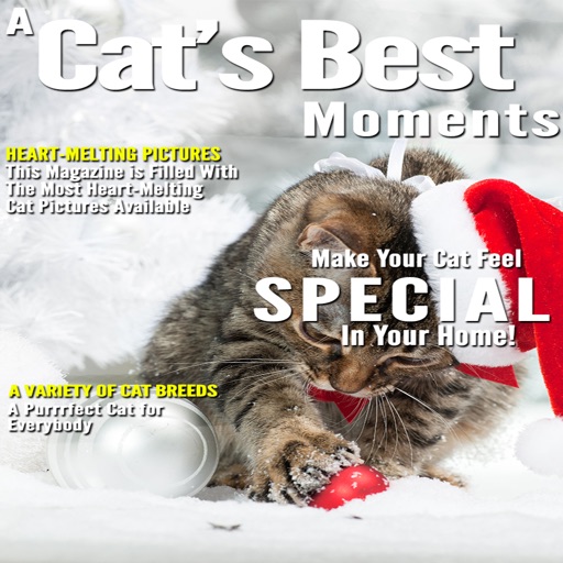 A Cats Best Moments Icon