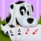 Double Lottery Casino Pet Poker - Best gambling card betting game