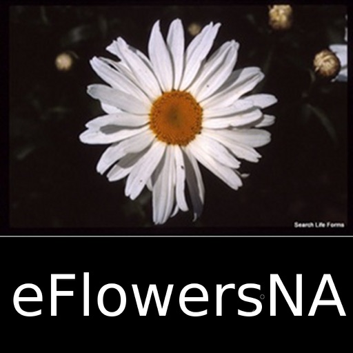 Wildflowers of North America - eFlowersNA - A Wildflower App