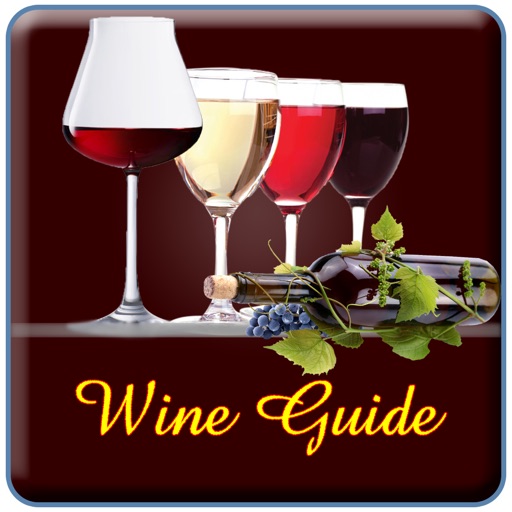 Wine Guide And Tasting icon