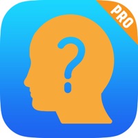 Disc Personality Profile  Traits Assessment Test Pro