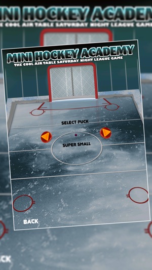 Mini Hockey Academy : The Cool Air Table Saturday Night Leag(圖2)-速報App