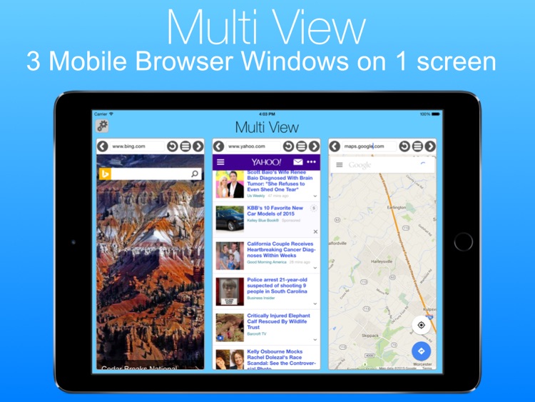 Multi View - A Multi-view Mobile Browser