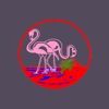 Flamingo Car Service
