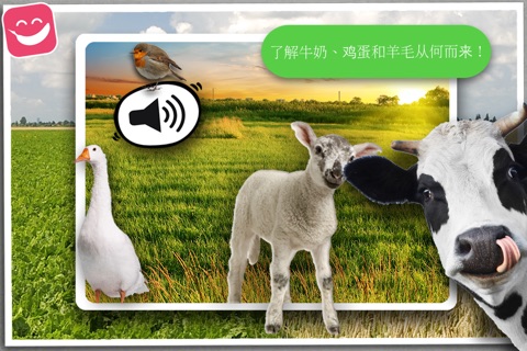 Free Sound Game Farm Animals Photo screenshot 2