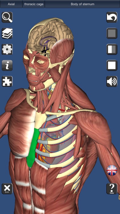 3D Bones and Organs (Anatomy) screenshot-3