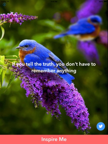 【图】InspireMe – Quotes you should live by(截图3)