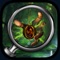 House Secrets : Hidden Objects