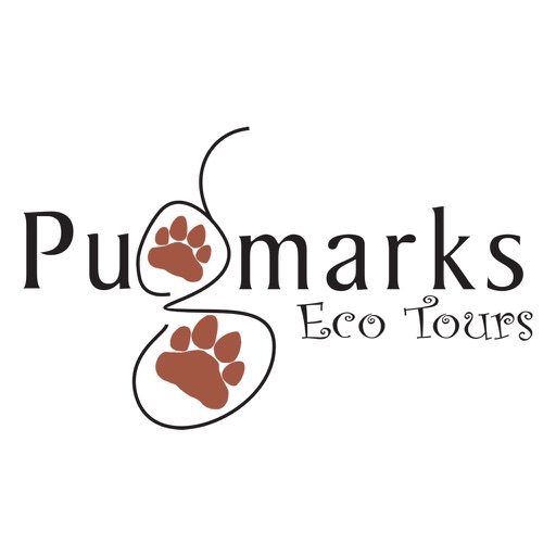 Pugmarks icon