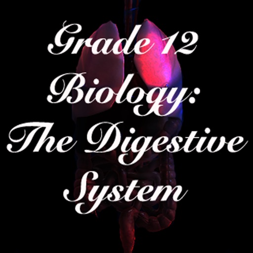 Grade 12 Biology: The Digestive System