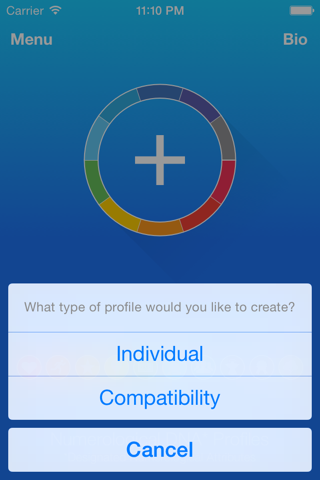 Numerological DNA* Profiles screenshot 4