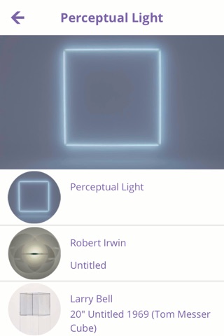 Seeing Through Light: Selections from the Guggenheim Abu Dhabi Collection screenshot 4