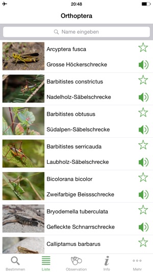 Orthoptera(圖3)-速報App