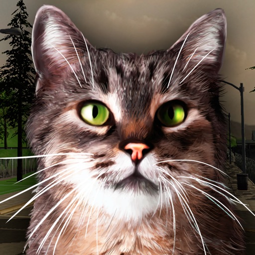 Street Cat Simulator 3D Free iOS App