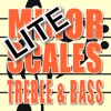 Minor Scales Treble and Bass Clef Lite