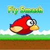 Funny Smash Clumsy Bird Rush