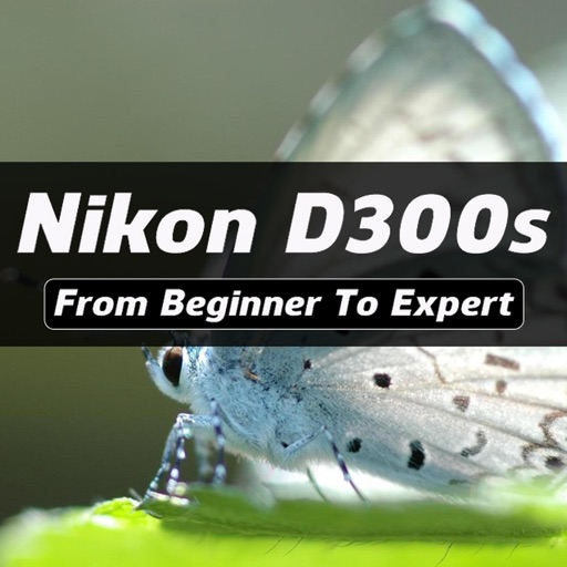 iD300s Pro - Nikon D300s Guide And Training icon