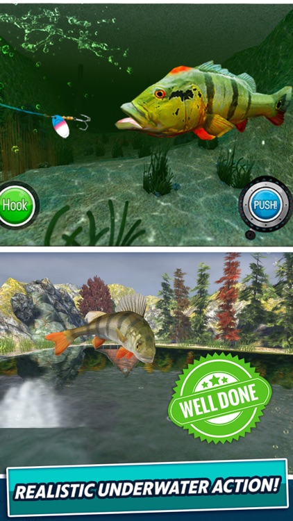 Grand Fishing Tour screenshot-4