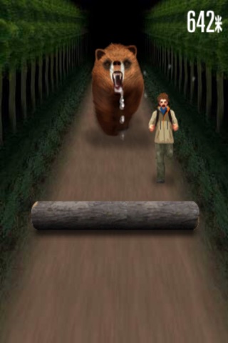 3D Bear Running - Kung Fu Bear screenshot 4