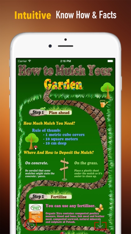 Home Gardening and Yard Landscaping 101: DIY Tips with Video Guide