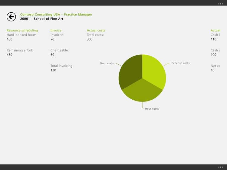 Microsoft Dynamics Business Analyzer screenshot-4