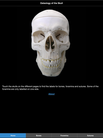 Screenshot #4 pour Skull Osteology