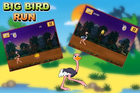 Big Bird Run - Ostrich's Crazy Jungle Splash (Free Game) screenshot 3