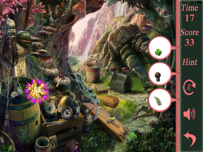 Hidden Objects The Hiding Place