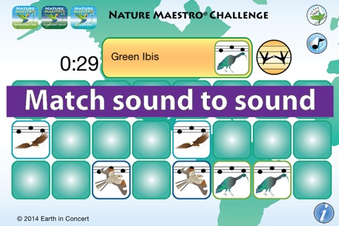 Nature Maestro Challenge screenshot 3