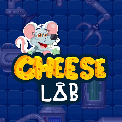 Mouse Cheese lab by Boy games