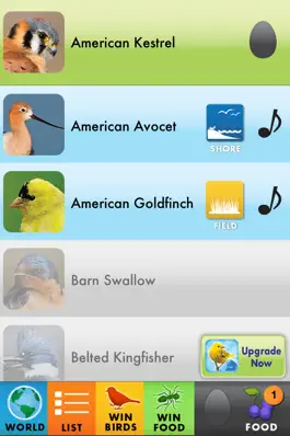 Game screenshot My Bird World Lite apk