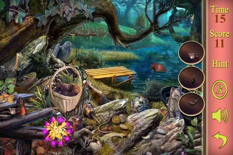 Hidden Objects A Sourceress Potoin screenshot 2